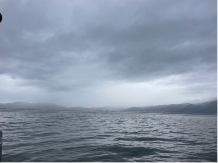 truth  ブログ写真 2024/04/11