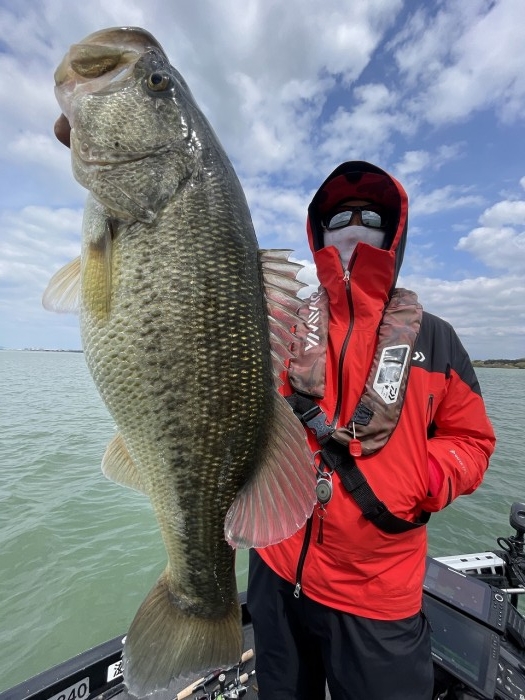 truth  ブログ写真 2024/04/11