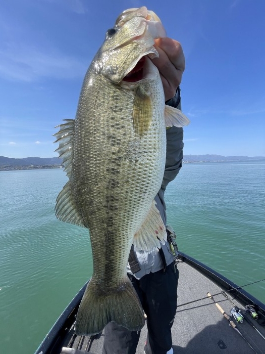 truth  ブログ写真 2024/04/12