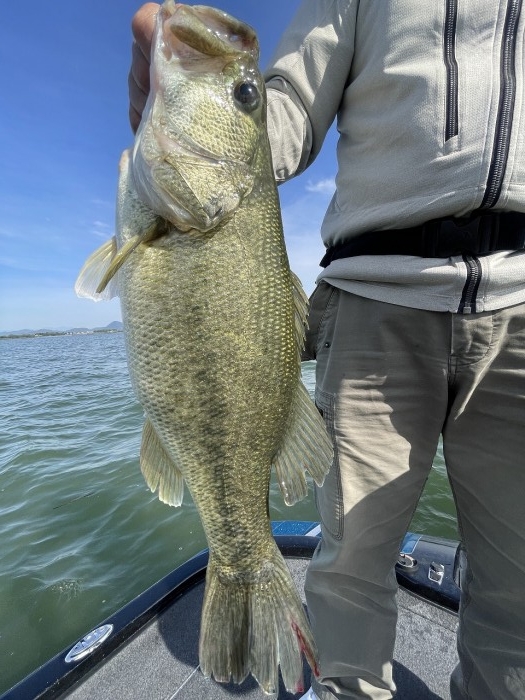 truth  ブログ写真 2024/05/18