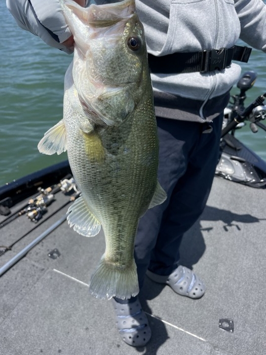 truth  ブログ写真 2024/05/18