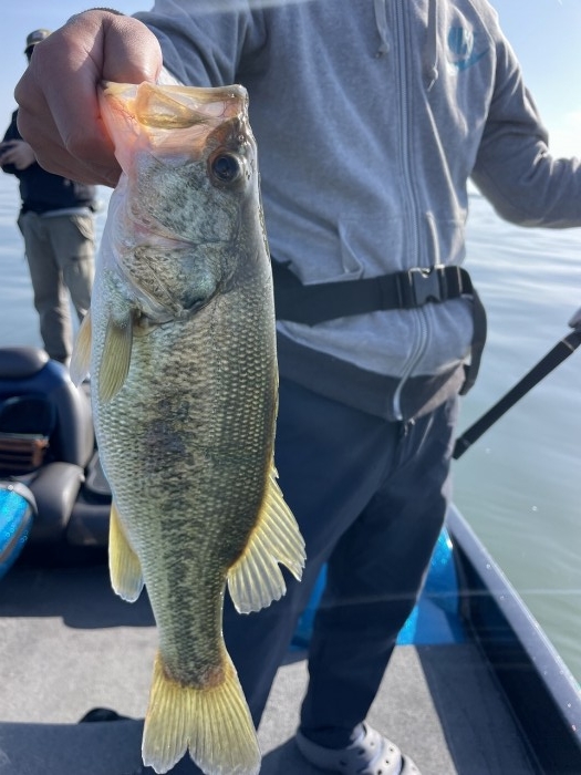 truth  ブログ写真 2024/05/18