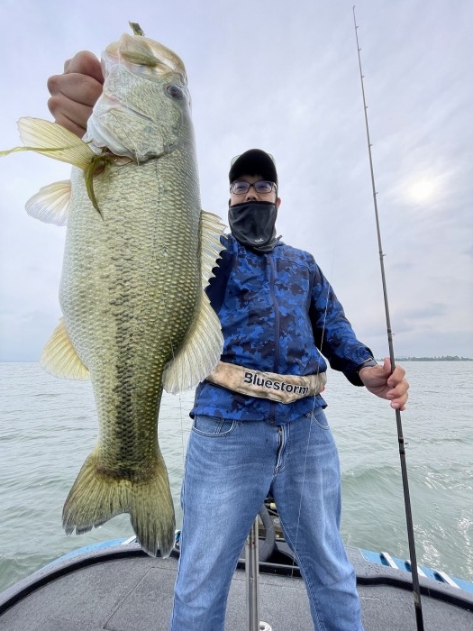 truth  ブログ写真 2024/05/24