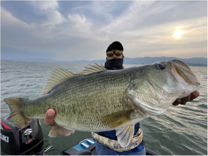 truth  ブログ写真 2024/05/24