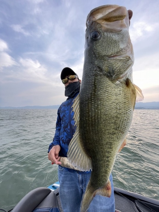 truth  ブログ写真 2024/05/24