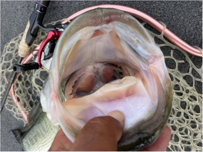 truth  ブログ写真 2024/05/24