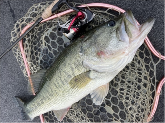 truth  ブログ写真 2024/05/24