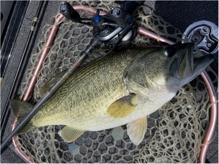 truth  ブログ写真 2024/05/25