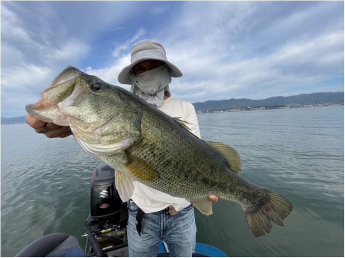 truth  ブログ写真 2024/06/13