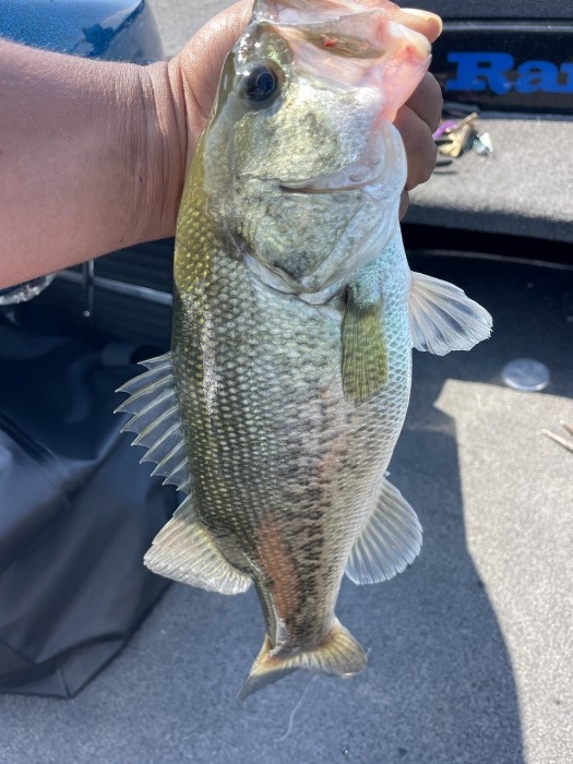 truth  ブログ写真 2024/06/14