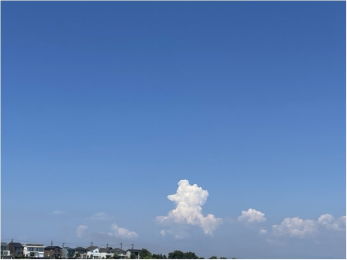 truth  ブログ写真 2024/06/14