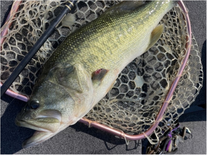 truth  ブログ写真 2024/06/14