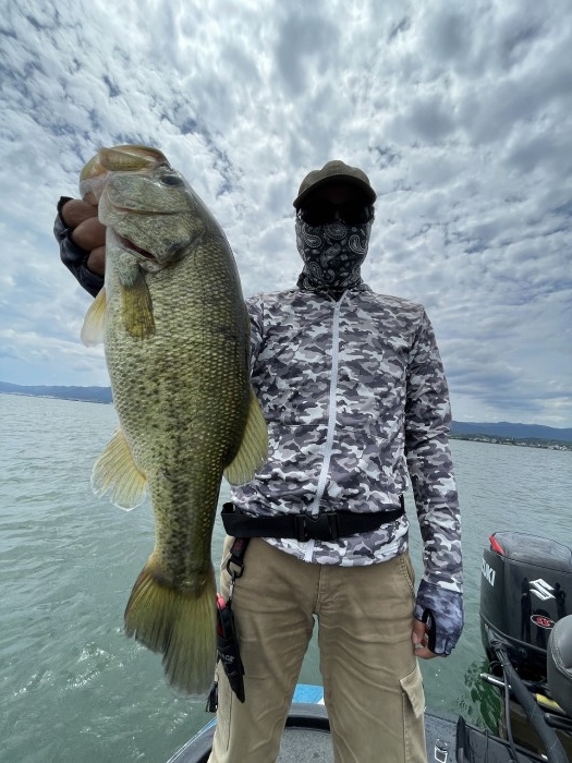 truth  ブログ写真 2024/06/15