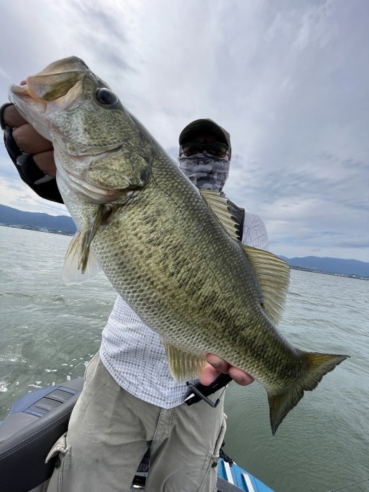 truth  ブログ写真 2024/06/15