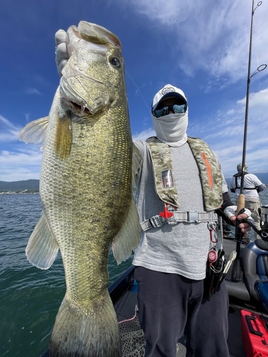 truth  ブログ写真 2024/06/15