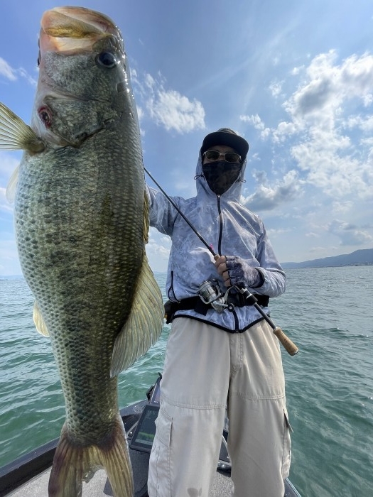 truth  ブログ写真 2024/06/16