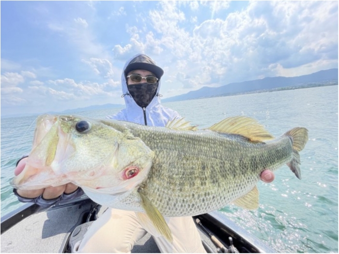 truth  ブログ写真 2024/06/16