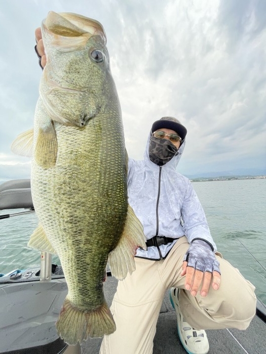 truth  ブログ写真 2024/06/16