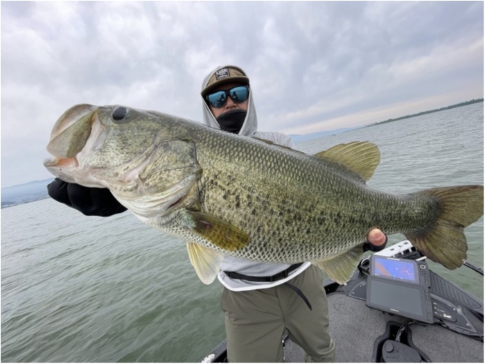 truth  ブログ写真 2024/06/17