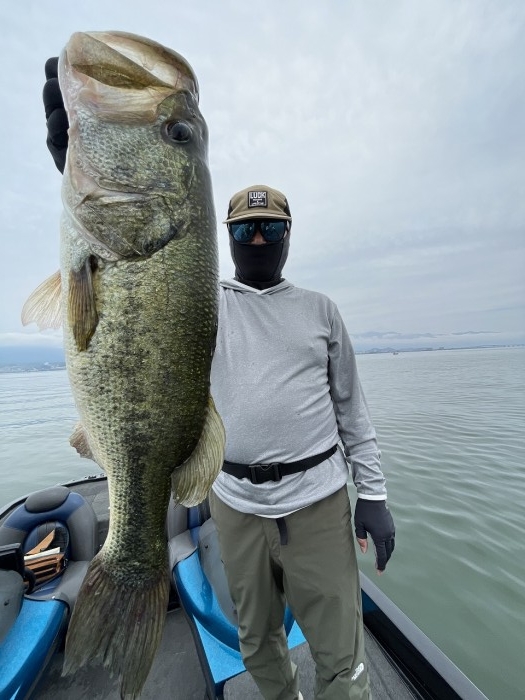 truth  ブログ写真 2024/06/17