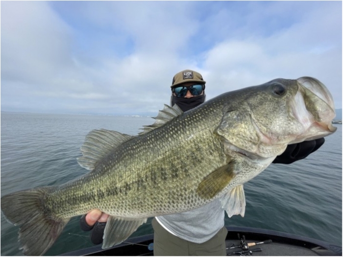 truth  ブログ写真 2024/06/17