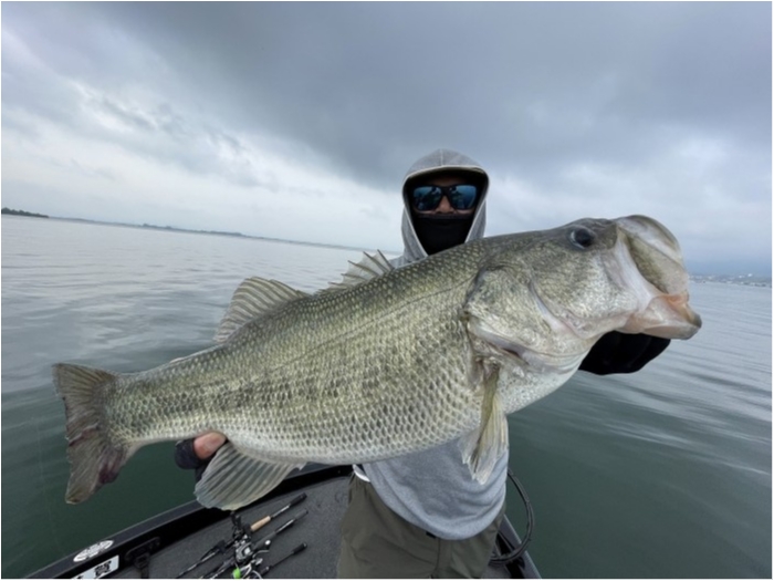 truth  ブログ写真 2024/06/17