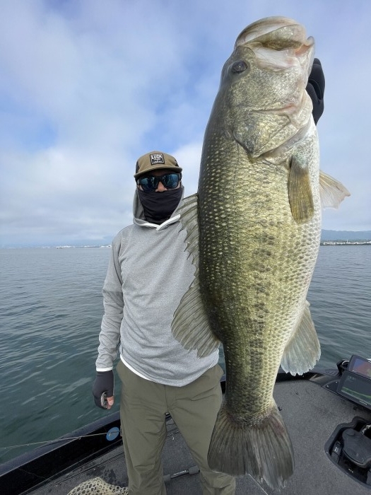 truth  ブログ写真 2024/06/17