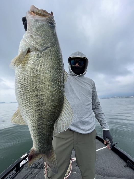 truth  ブログ写真 2024/06/17