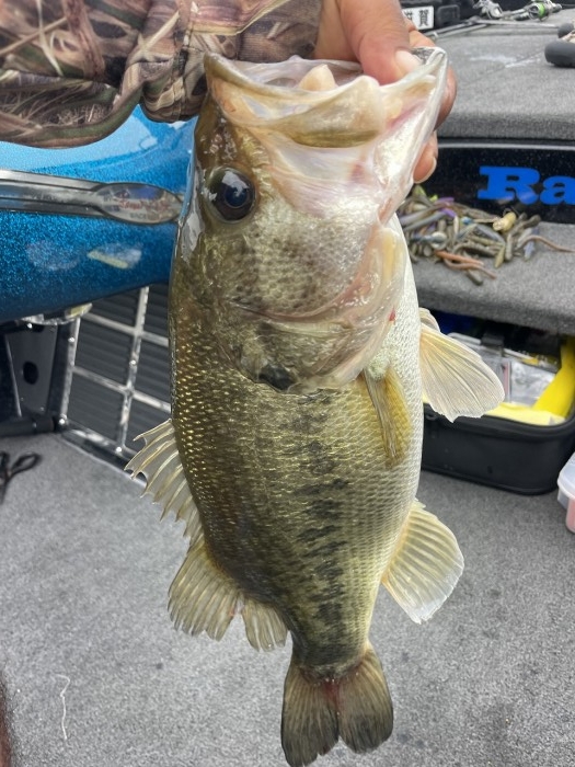 truth  ブログ写真 2024/06/17