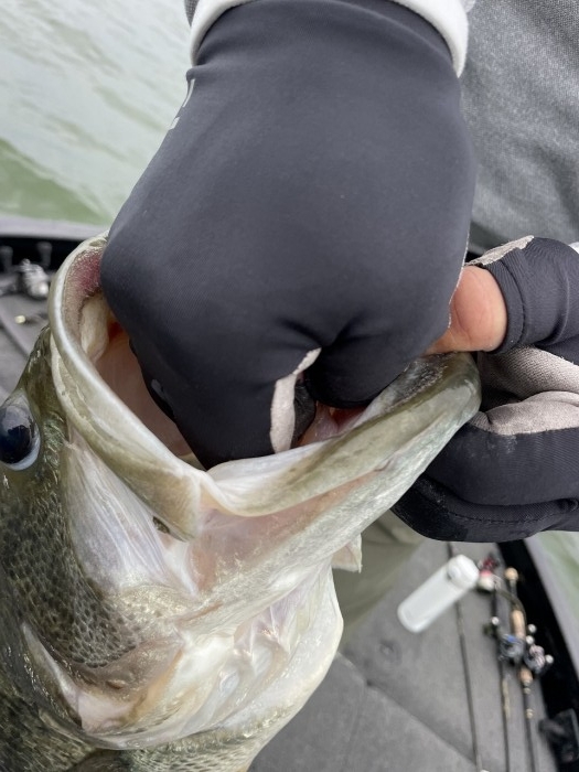 truth  ブログ写真 2024/06/17