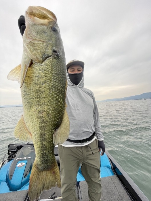 truth  ブログ写真 2024/06/17