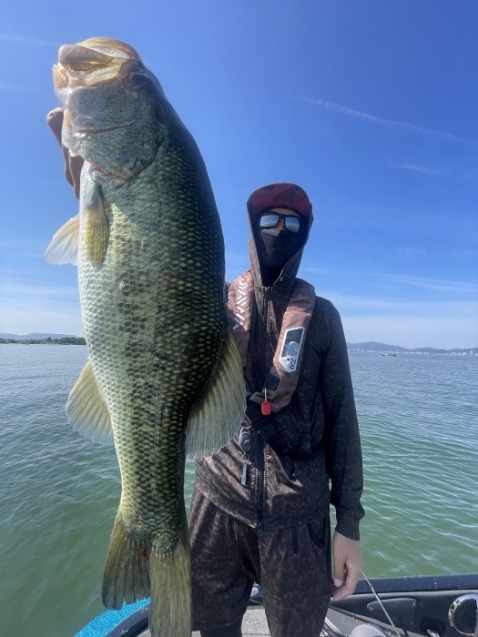 truth  ブログ写真 2024/06/19