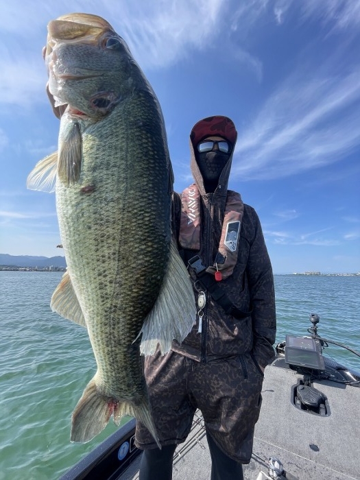 truth  ブログ写真 2024/06/19