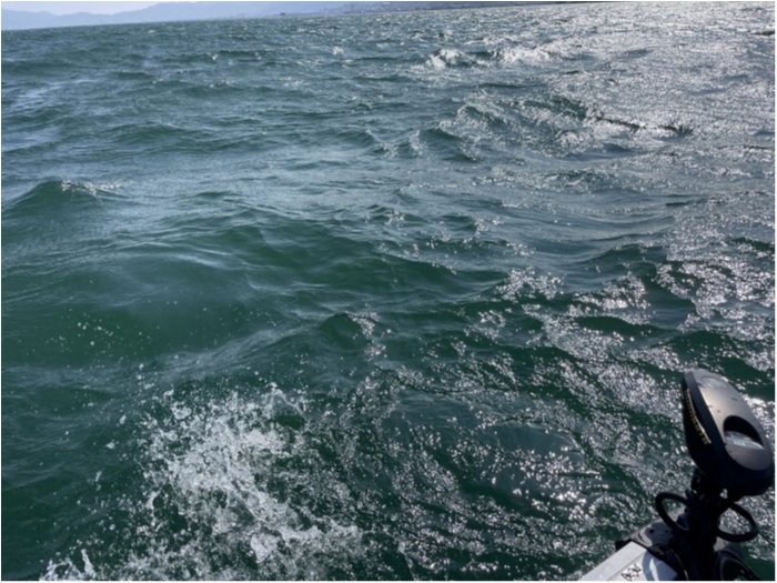 truth  ブログ写真 2024/07/19