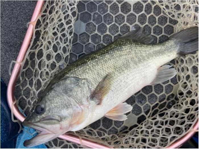 truth  ブログ写真 2024/07/19