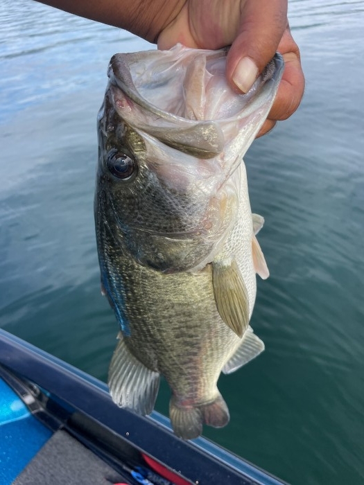 truth  ブログ写真 2024/07/19