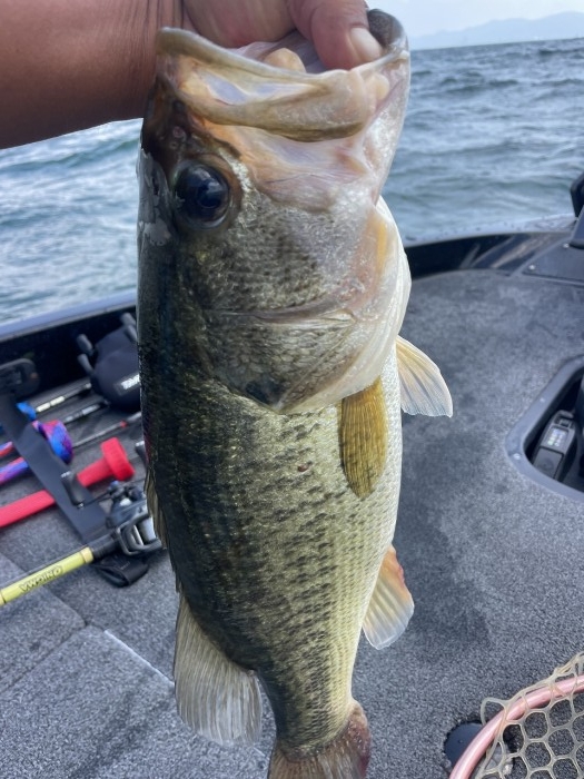 truth  ブログ写真 2024/07/19