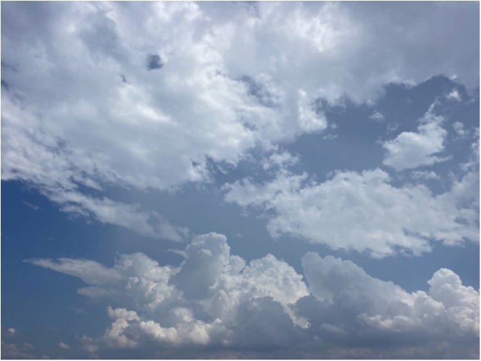 truth  ブログ写真 2024/07/23