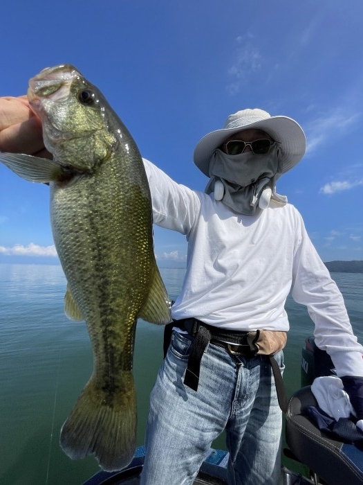 truth  ブログ写真 2024/08/02