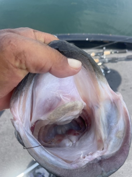 truth ブログ写真 2024/08/06