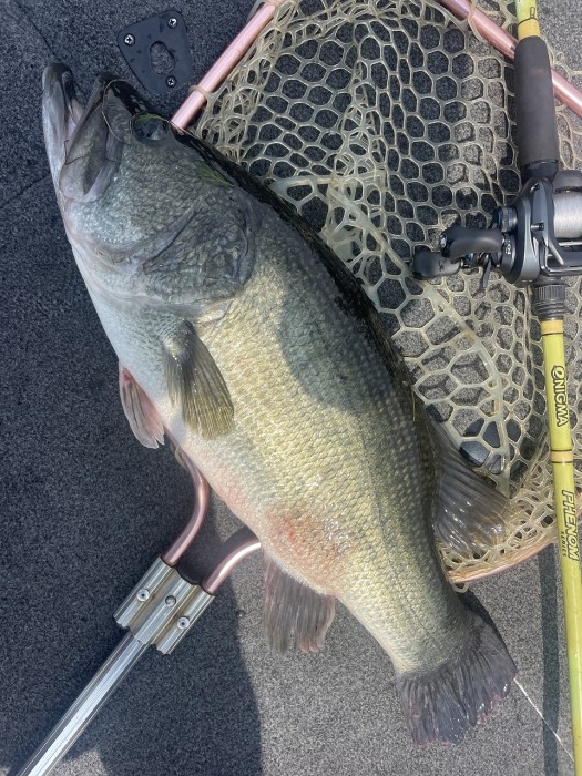 truth ブログ写真 2024/08/06