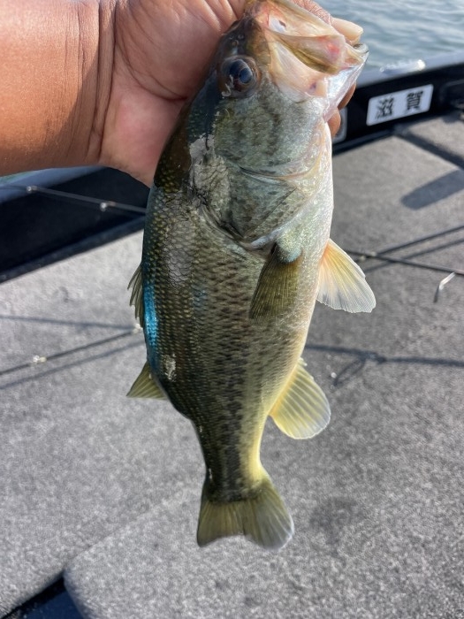 truth ブログ写真 2024/08/07