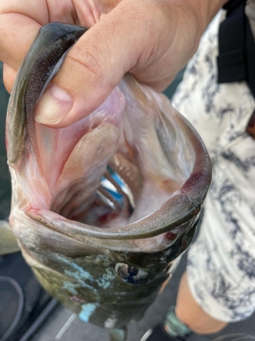 truth ブログ写真 2024/08/07