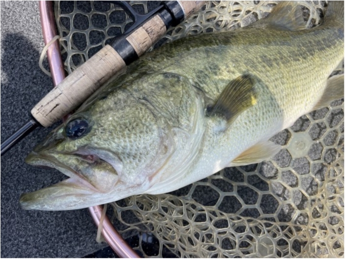 truth ブログ写真 2024/08/10