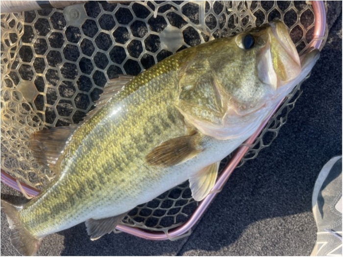 truth ブログ写真 2024/08/10