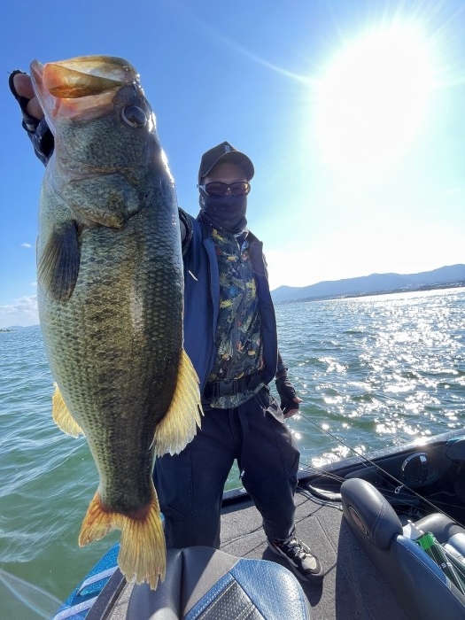 truth ブログ写真 2024/08/11