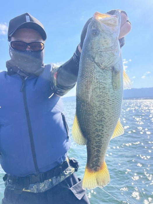 truth ブログ写真 2024/08/11