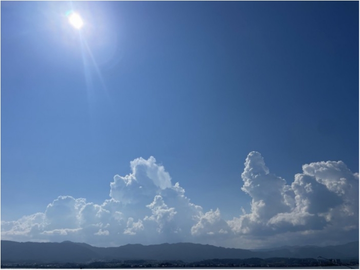 truth  ブログ写真 2024/08/14