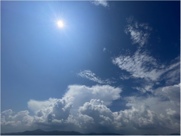 truth  ブログ写真 2024/08/15