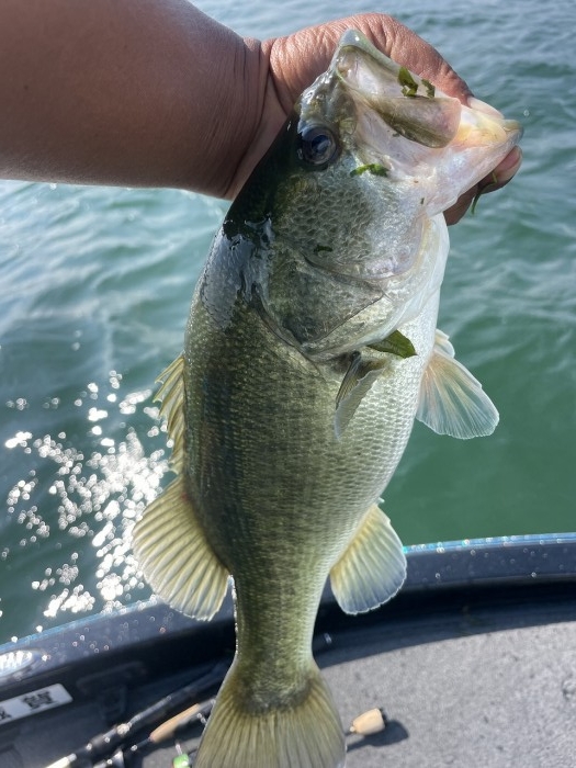 truth  ブログ写真 2024/08/15